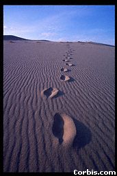 MOJAVE DESERT