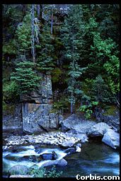 Pretty waterfall, huh? Kami and I like to play in it.