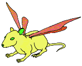 Flying Rat