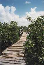 parkbridge