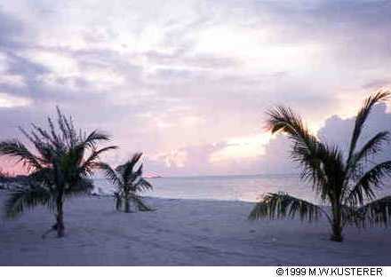 sunrise