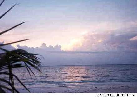 sunrise