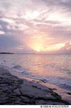 sunrise
