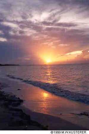 sunrise