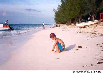 davebeach