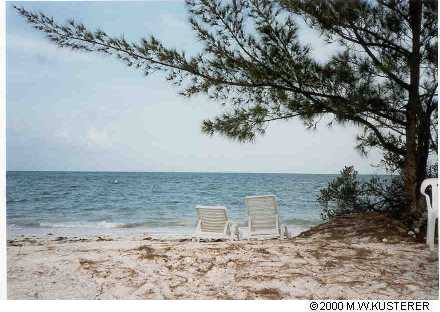 beachchairs