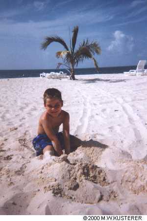 dbeach