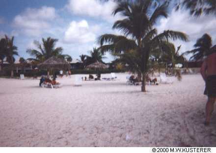 beachfuzzy