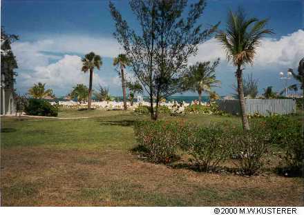 pool2beach2