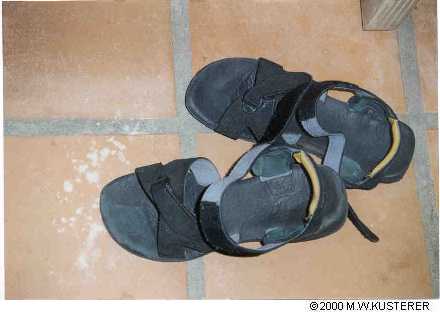 sandals