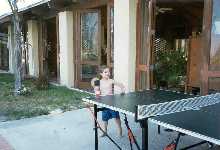 dpingpong1