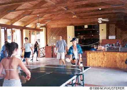 pingpong