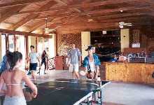 pingpong