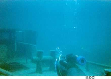tdivewreckdeck