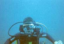 tdivecloseup