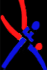 Fédération Française de Judo