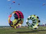 kite