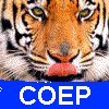 COEP - Comunidade de Olho na Escola Pública