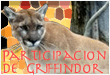 Participacin de Griffindor