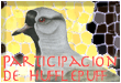 Participacin de Hufflepuff