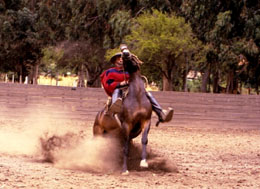 Huaso y caballo