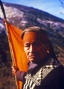Mapuche representant