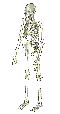 Morgue