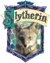 Slytherin