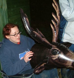 Moose!