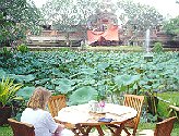 the Lotus Resteraunt