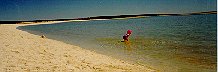 playtime at the Shell Beach