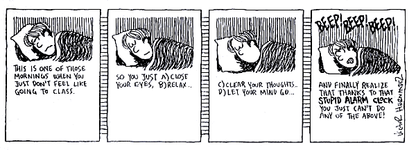 Vin's Eye View strip