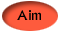 Our Aim