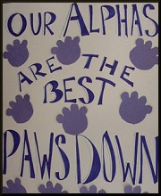 Welcome Alphas!