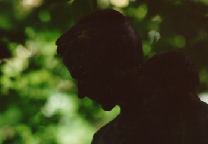 [banner photo]
