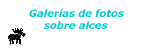 Galer&iacute;as de fotos sobre alces