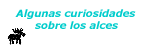 Algunas curiosidades sobre los alces