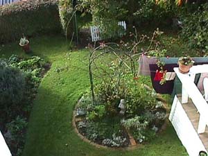 Viv's Garden