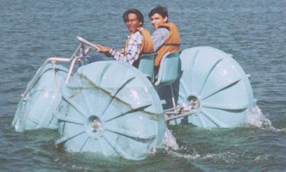 in Dimna Lake