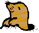 the cute groundhog