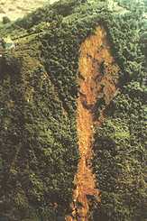 Erosão natural