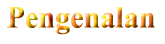 Pengenalan