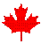 spinning leaf.gif