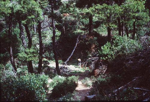 en_route_from_skopelos_town_to_elios