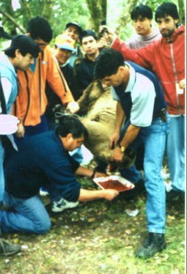 Ritual del Sacrificio