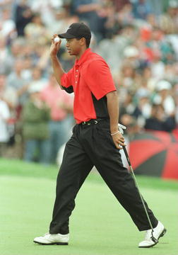 Tiger Looking Up
