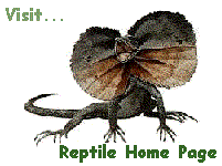 Reptile's Home Page