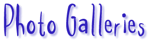 [Picture Gallery]