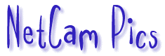 [NetCam Pics]