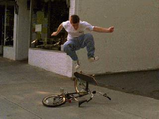 Dan Fleder